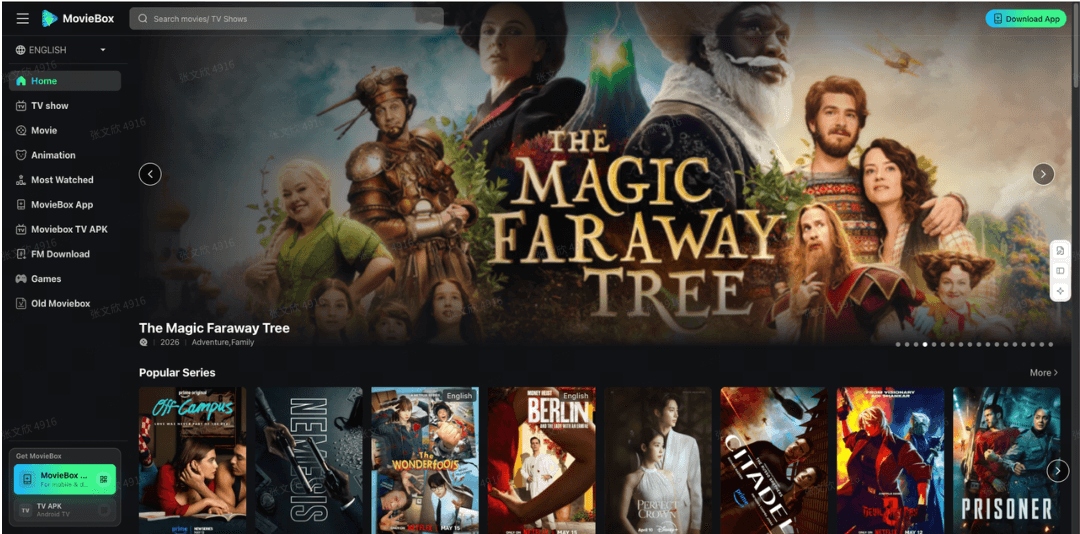 MovieBox SEO case study screenshot